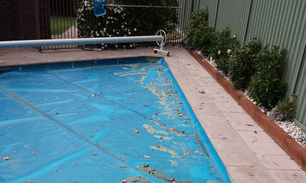 My pool after one night of flower snow